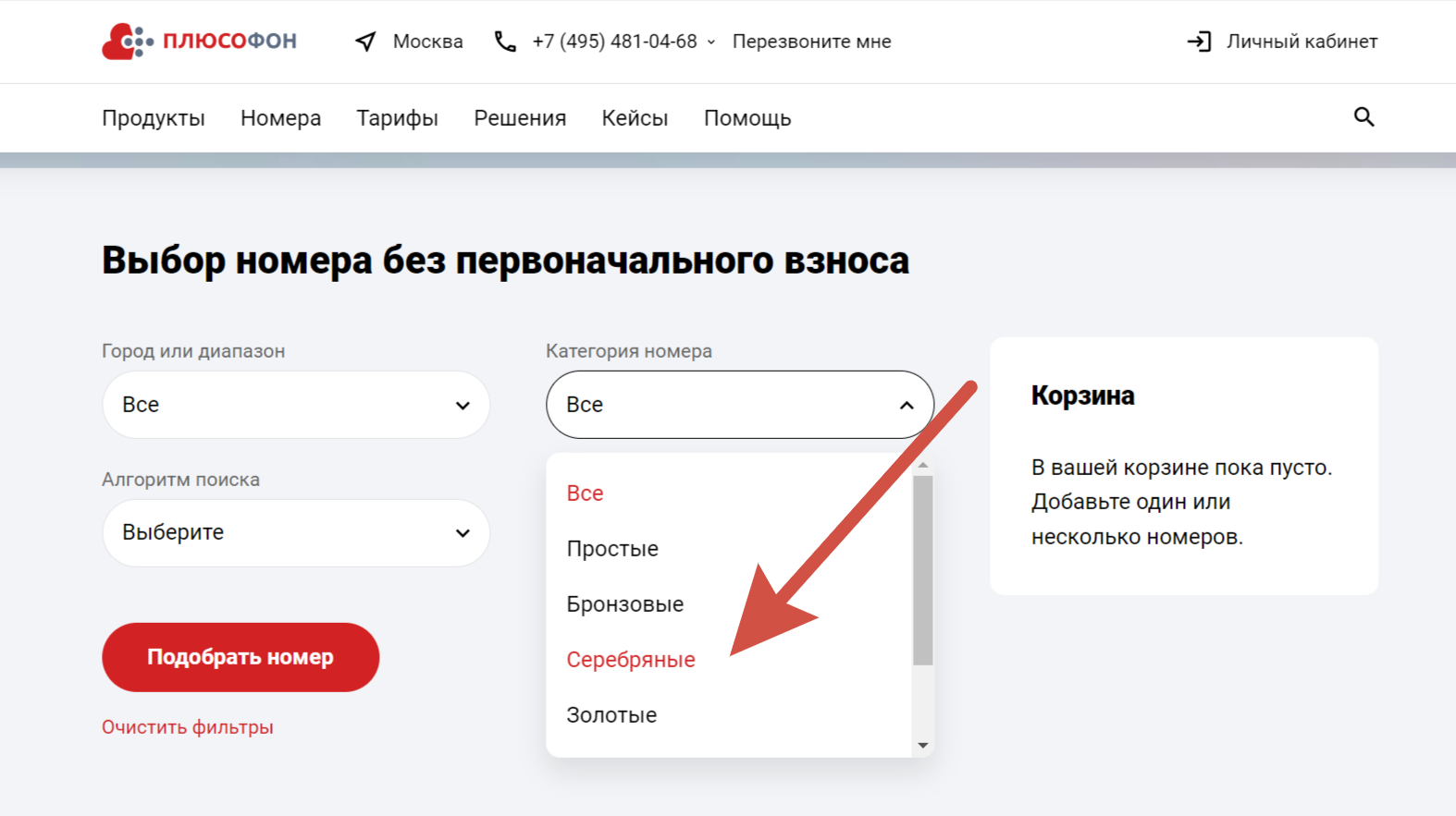 Выбираем категорию «серебряные»