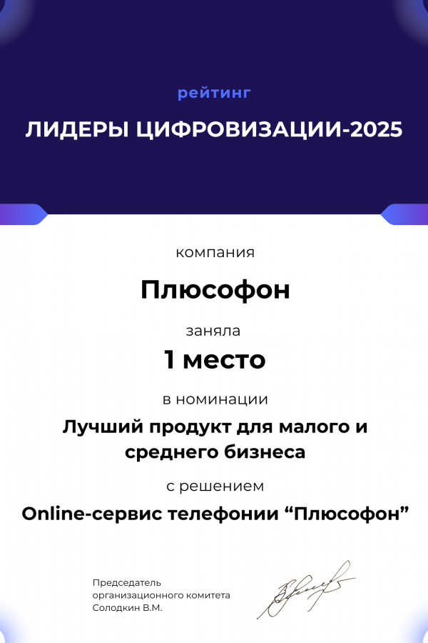 Лидеры цифровизации 2025