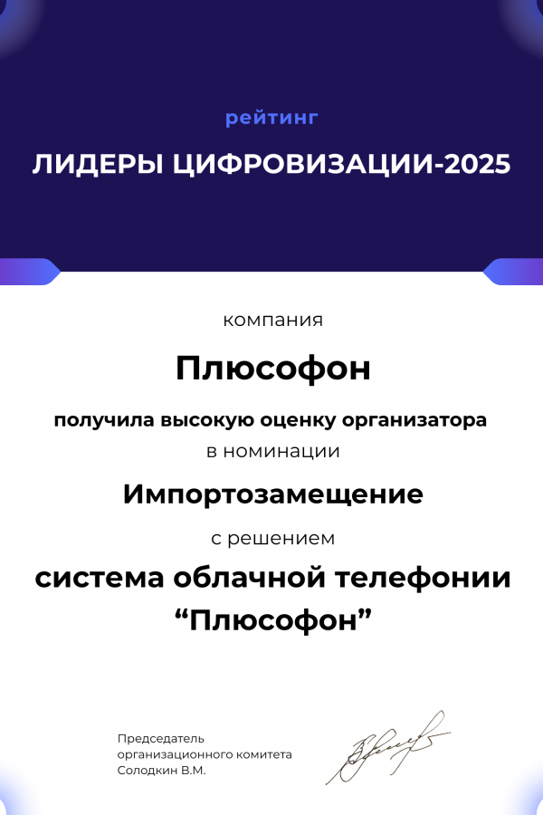 Лидеры цифровизации 2025